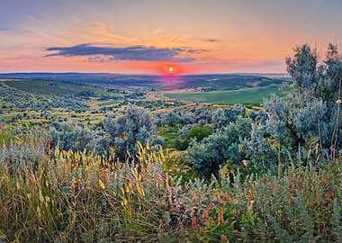 scenic sunset on the hill