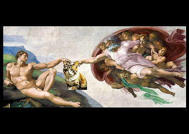 Michelangelo Cat Funny
