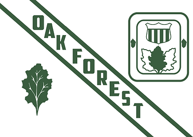 City Of Park Ridge Illinoi