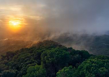 A sunset over the forest
