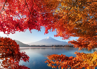 Mountain Fuji Fujikawaguch