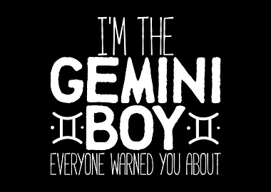 Gemini Boy Warning Zodiac