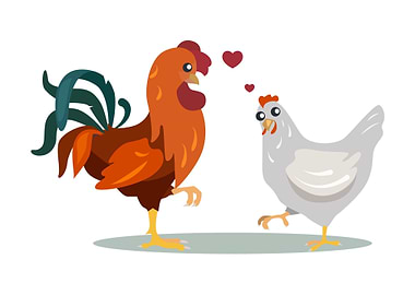 Rooster Love