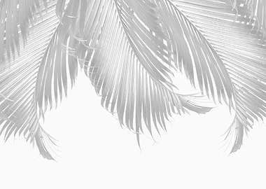 Palm Leaves Finesse 5
