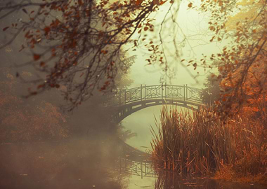 Autumn foggy lake in park