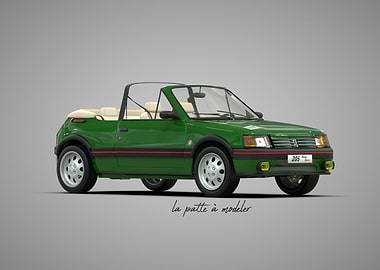 Peugeot 205 RG