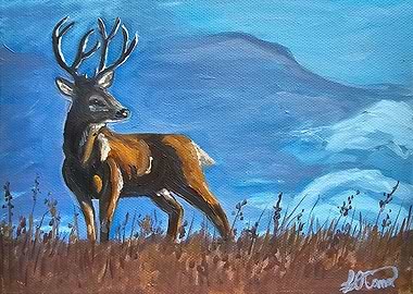 Stagnant Surroundings