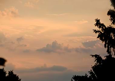 Pastel sunset and trees