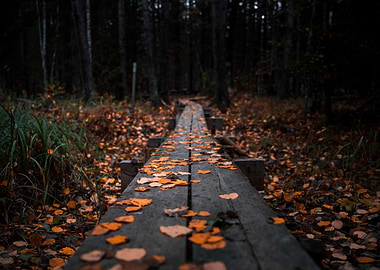 Autumn forest with leaves
