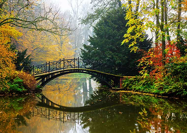 misty autumn landscape