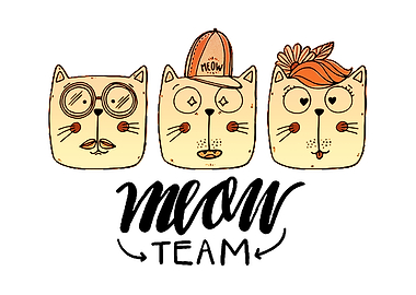 meow team