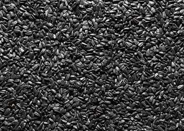 Sunflower seeds background