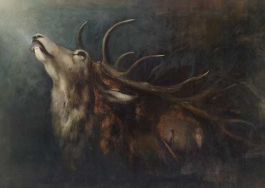 Dying deer