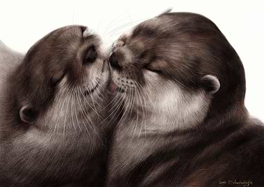Kissing Otters