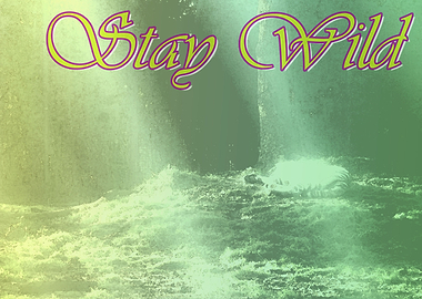Stay Wild