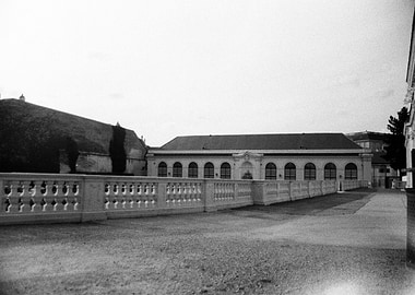 analog photography vienna