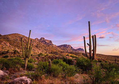 Catalina Mountains