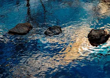 Silken threads of light