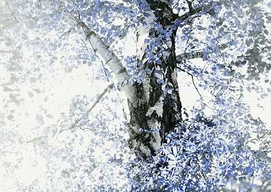 Dreamy Birch Tree 5