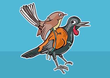 Saddleback and fantail