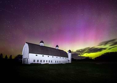 DH Day Barn Pink Aurora