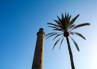 Lighthouse and a palm tree