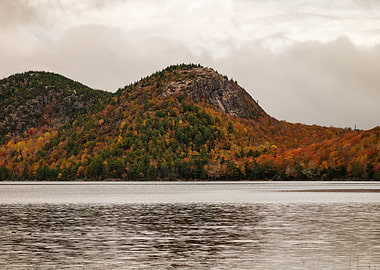 Acadia in the Fall