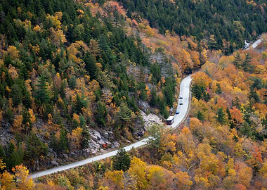 Acadia in the Fall