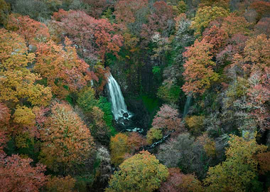 Melincourt waterfall