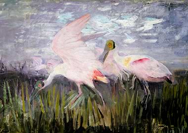 Roseate Spoonbills