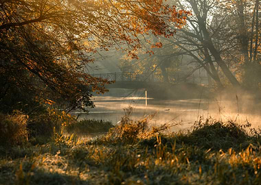 Autumn morning
