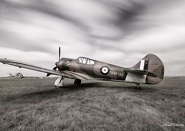 Prendre sous son aile