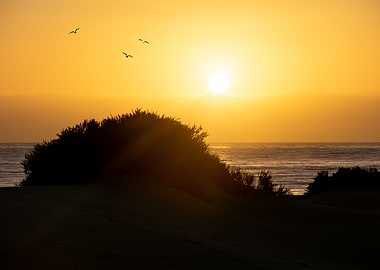 Sunrise over the sea