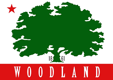 Woodland City California