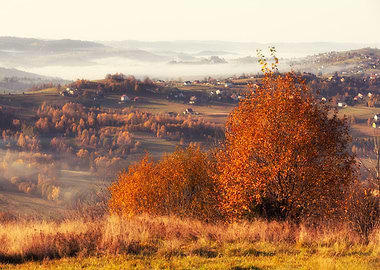 Autumn foggy landscape