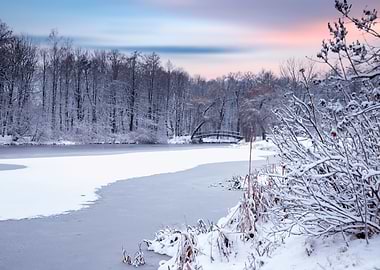 Winter lake in frozen park