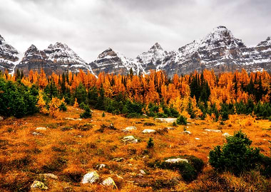 Ten peaks valley autumn