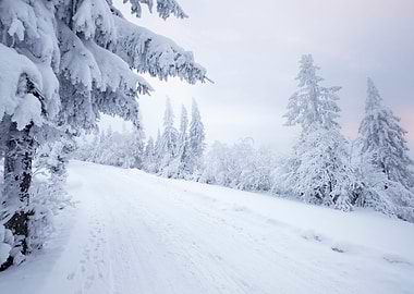 Winter landscape in Poland