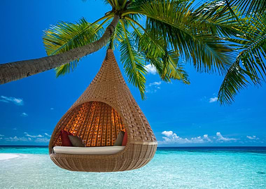 Tropican beach hammock