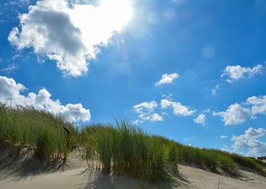 Sun over the sand dunes
