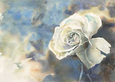 White rose watercolor art