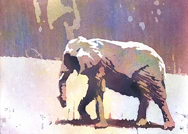 Elephant watercolor art