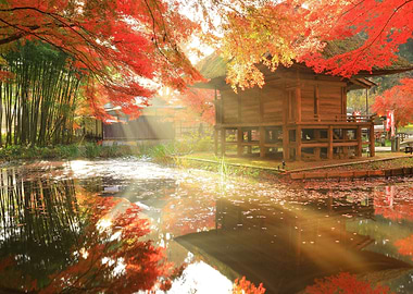 Chusonji Temple in Autumn