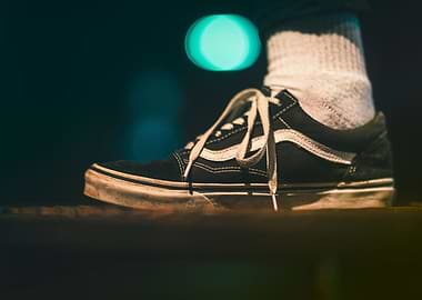 vans oldskool