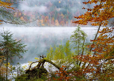 Indian Summer in Bavaria
