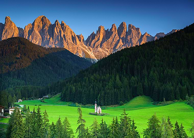 Dolomites italy forest
