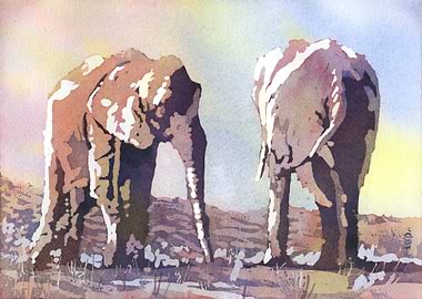 Elephant watercolor painti