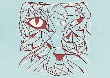 Abstract Splash Cats