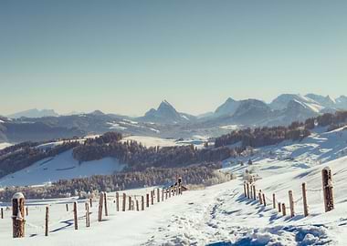 Mountain Powder Snow Path