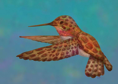 Hummingbird seaturtle